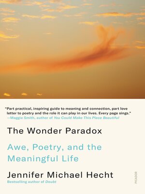 cover image of The Wonder Paradox